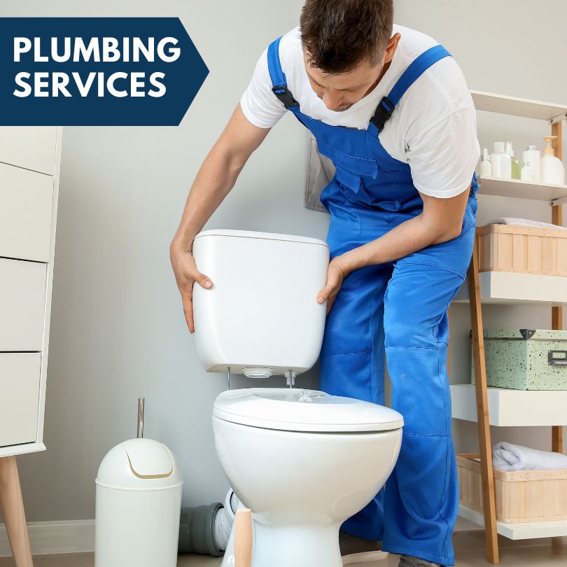 Plumbing Company in Westphalia, MI